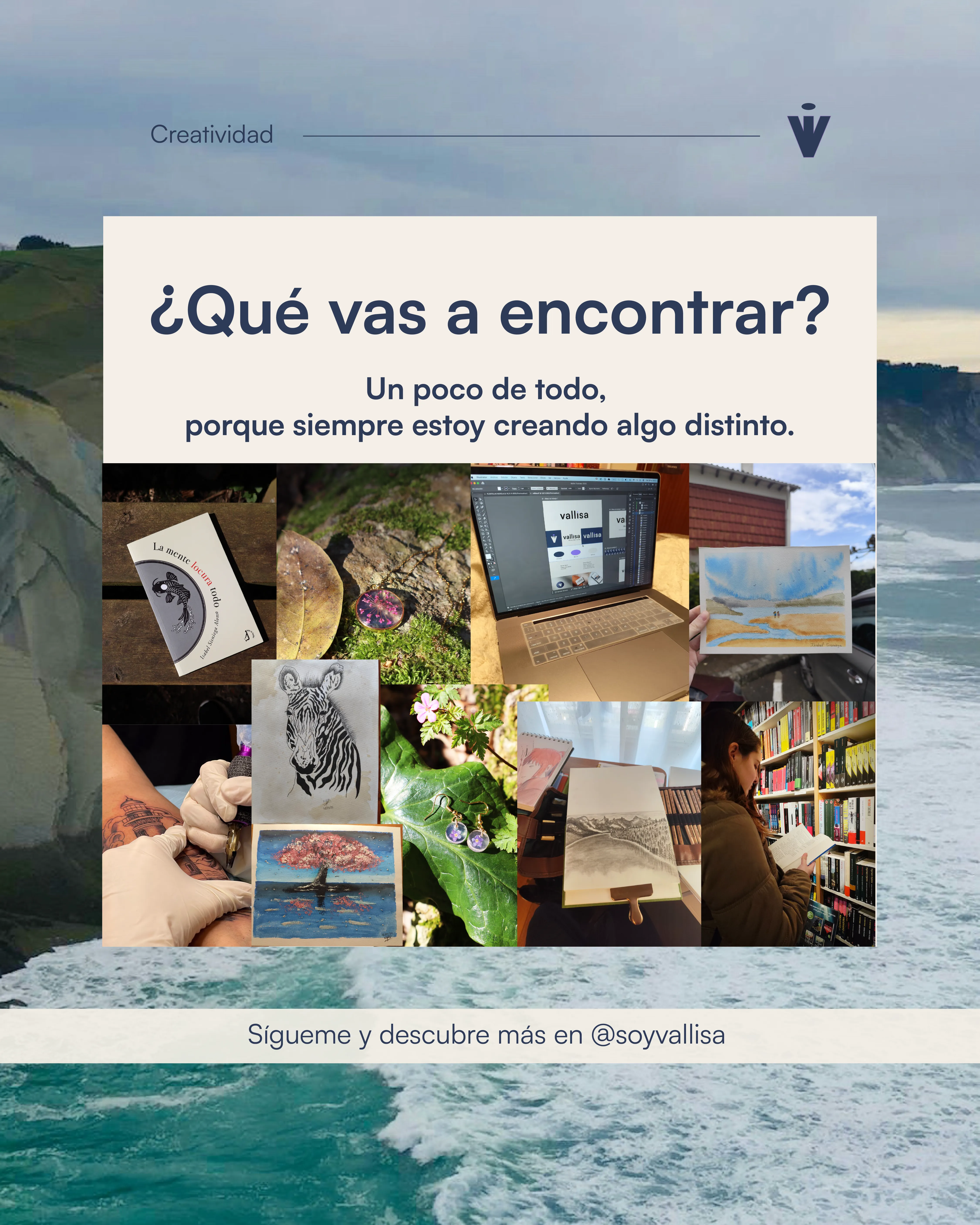 Presentación de Vallisa: qué vas a encontrar