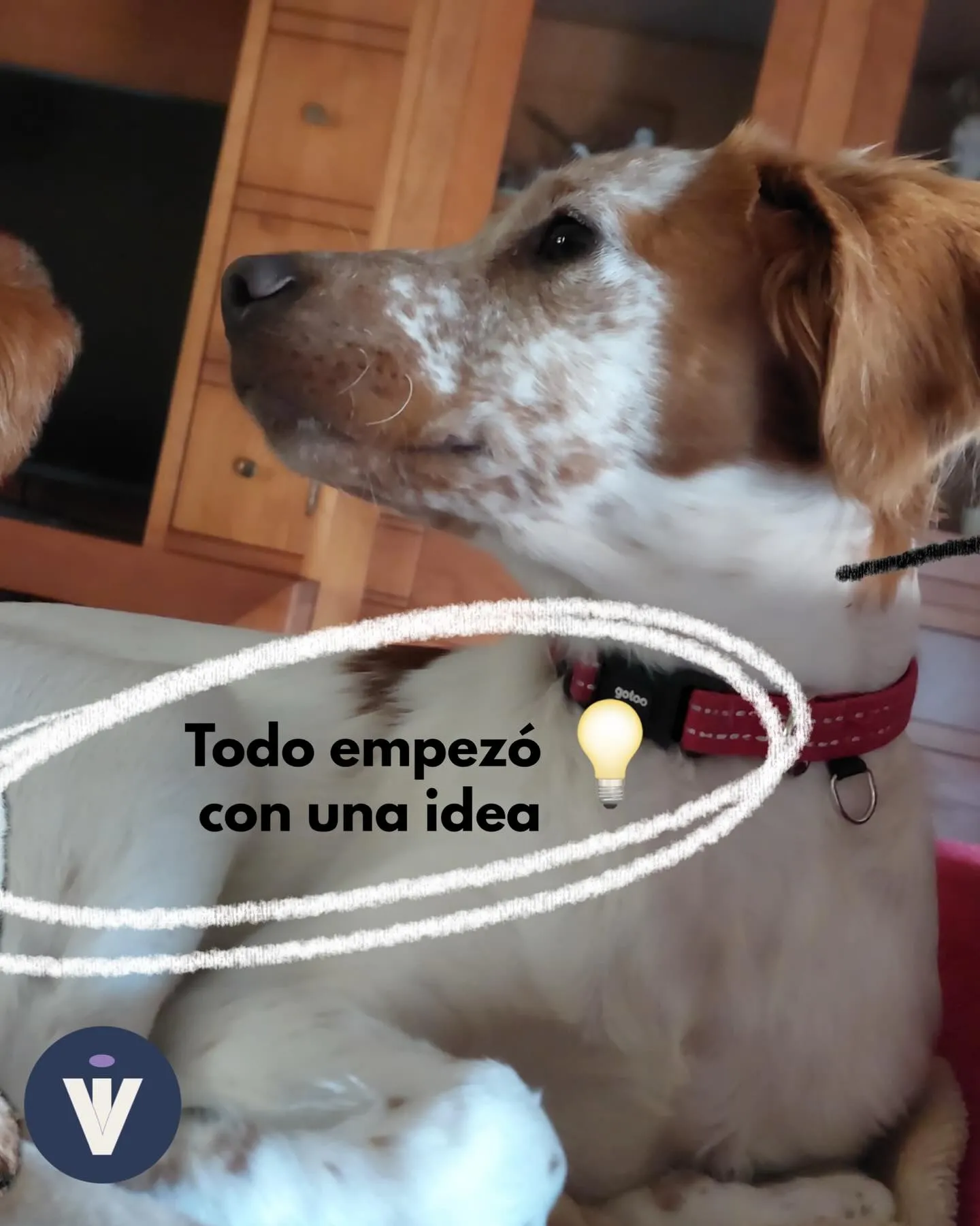 Publicación de Instagram de Vallisa sobre la idea inicial